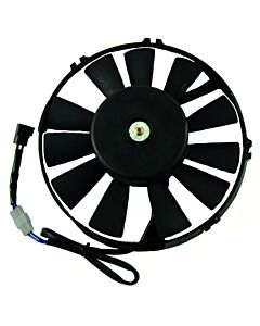 Fan Motor