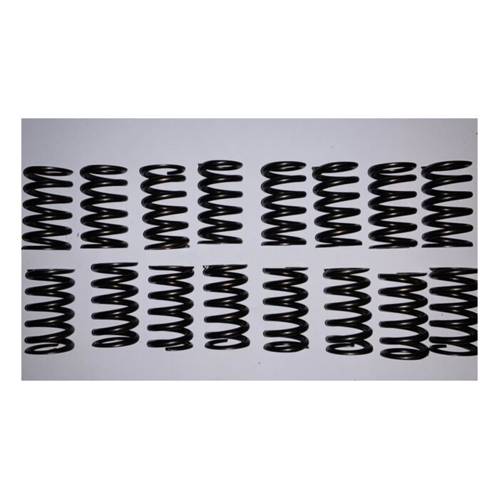 Klep veer B18+B20+B30  enkele veer performance set 8 stuks max 5000 tpm