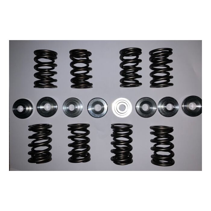 Klep veer B18+B20+B30  dubbele veer performance set 8 stuks 6000 tpm incl HD klepzetels