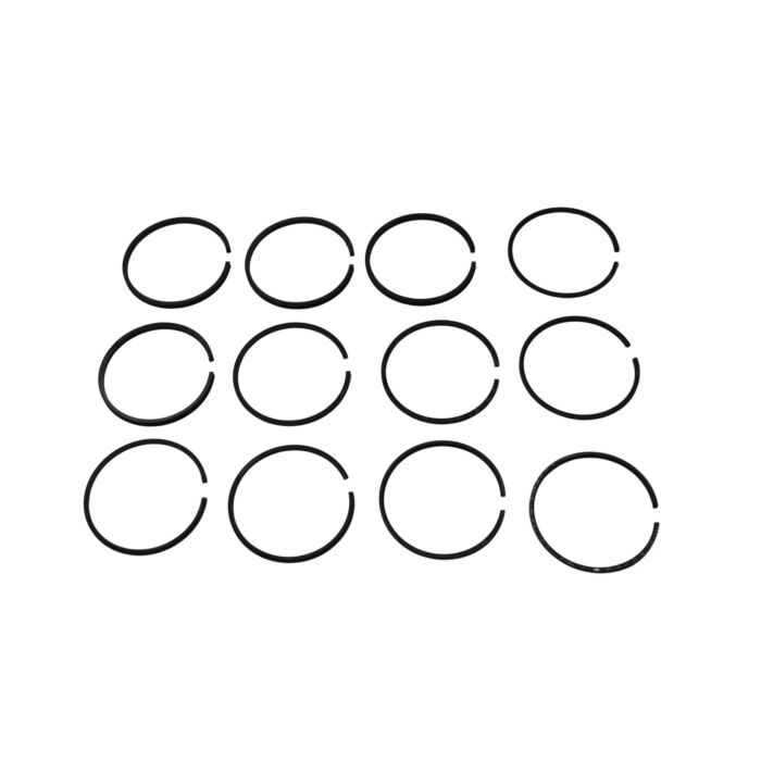 Zuigerveerset B4B 0.020inch (set voor 4 zuigers)